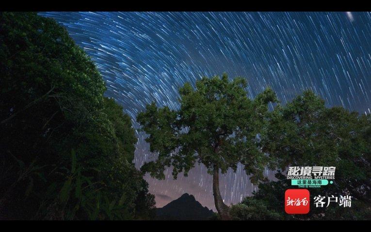 蓝色怪物救援