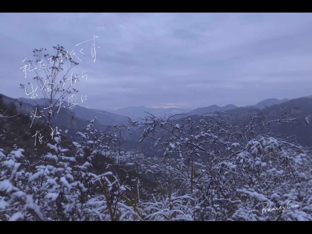悬崖跳水运动