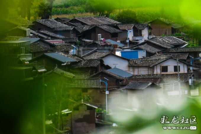 八字中有丑戌未三刑怎么化解游戏画面