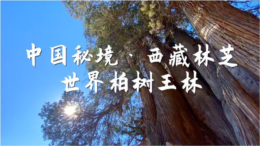 帮南京文旅上分！腊八粥之外尝尝这种更具南京特色的粥