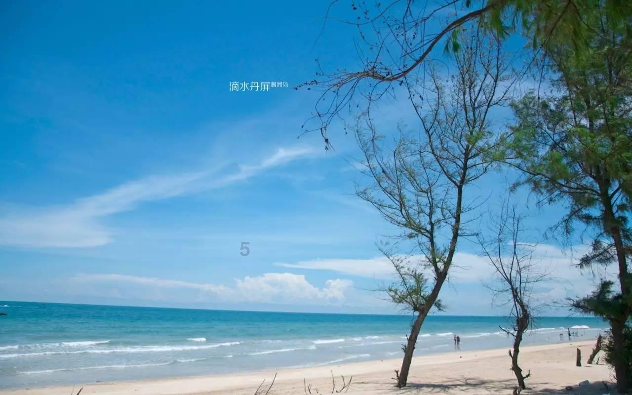 全战：不列颠王座