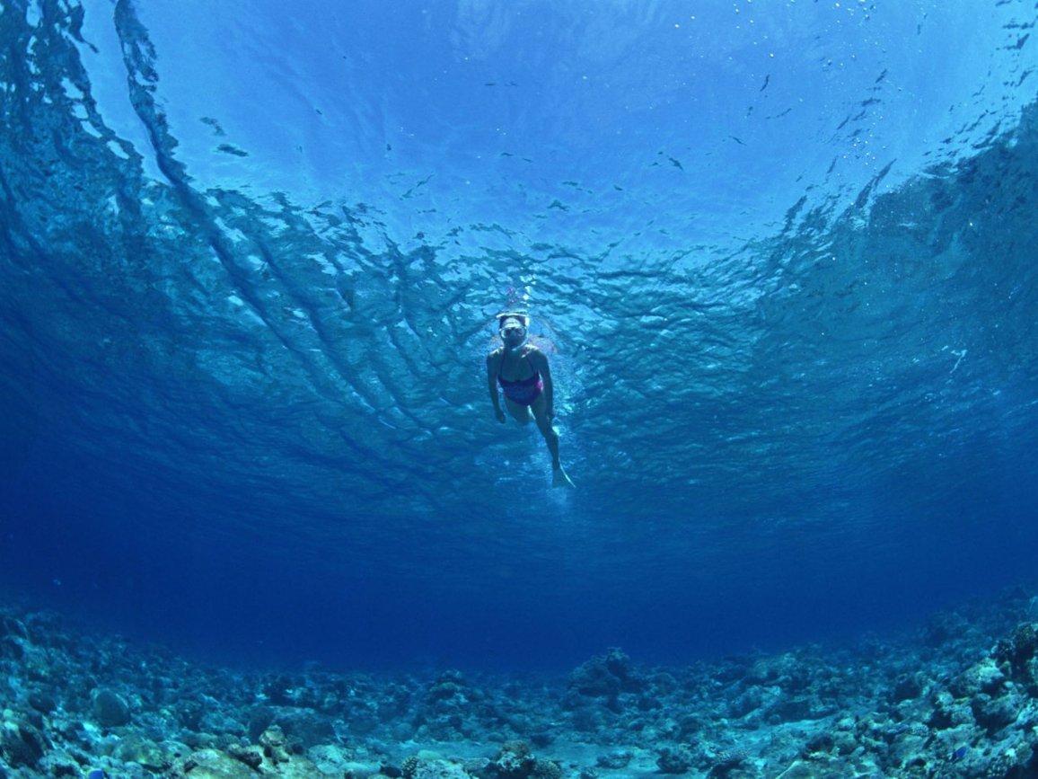 深海鱼救援
