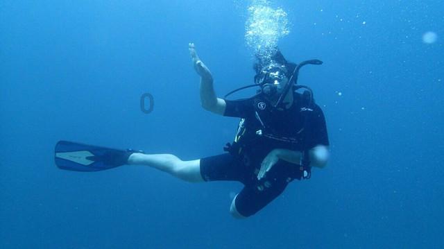 救援海盗章鱼